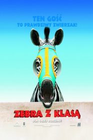Zebra z klasą