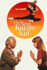 Karate Kid IV: Mistrz i uczennica